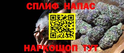 a pvp Тара