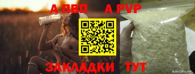 a pvp Тара