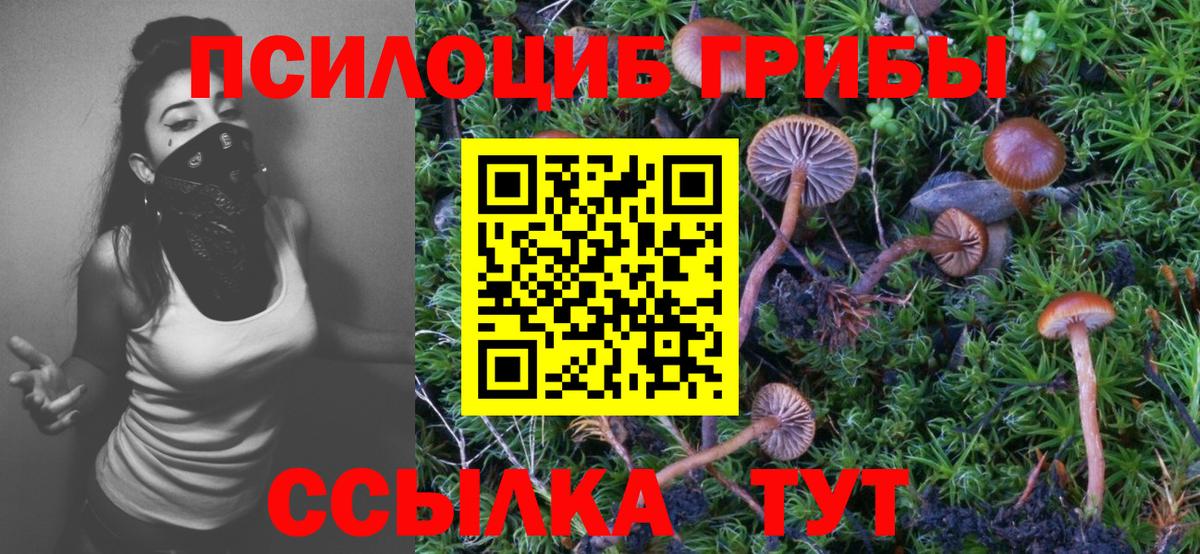 Галлюциногенные грибы Cubensis Ревда