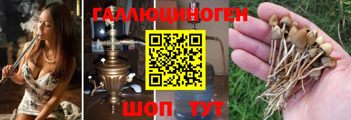 Галлюциногенные грибы Magic Shrooms  Псилоцибиновые грибы Magic Shrooms  Ревда  Вход с VPN 